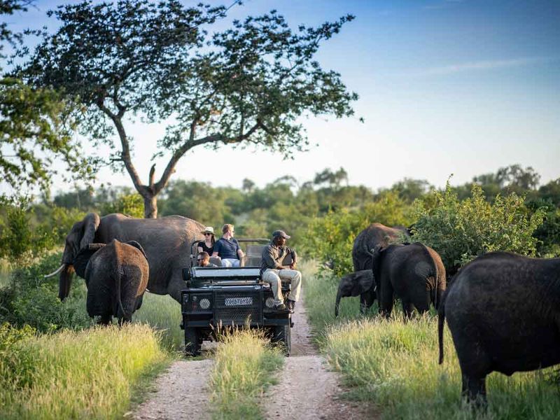 Mosi-Oa-Tunya Game Drive Safari - Safari Tycoons (3)